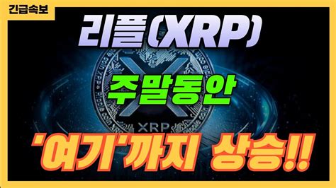 리플 Xrp 긴급속보 리플 7월 마지막 주말 여기까지 상승합니다 놓치면 손해 필수시청 Youtube