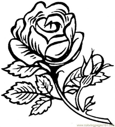 Dessins De Coloriage Roses Imprimer Sur Laguerche Page