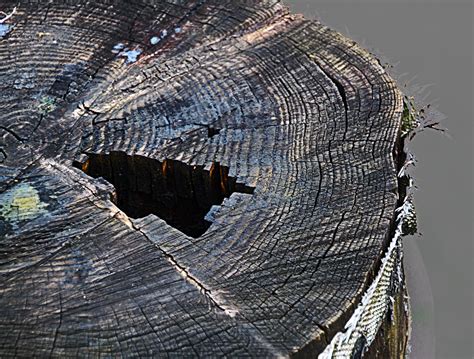 Stumped At Ray S Boathouse Shilshole Seattle Jett Brooks Flickr