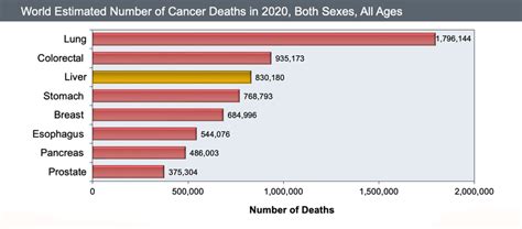 Core Concepts Screening For Hepatocellular Carcinoma Other Topics