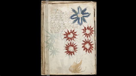 The Voynich Manuscript The Worlds Most Mysterious And Elegant Enigma