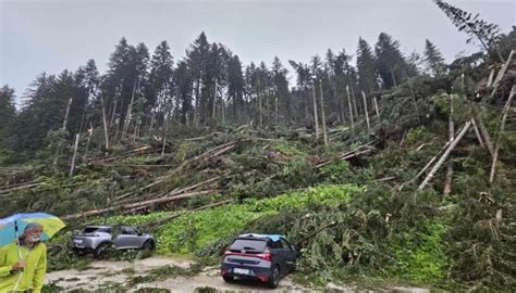 Tromba D Aria In Cadore E Tempesta In Trentino Alberi Abbattuti E