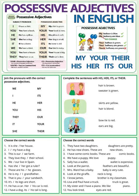 Possessive Adjective And Possessive Pronoun Worksheet