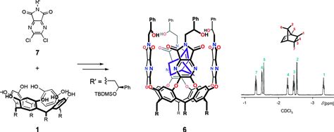 Functional Cavitands Chemical Reactivity In Structured Environments Pnas