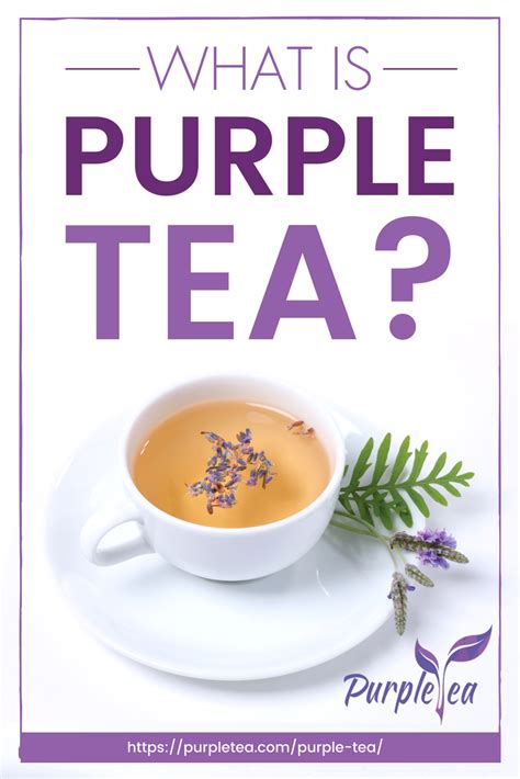 What Is Purple Tea What Is Purple Tea Tea Benefits Infographic