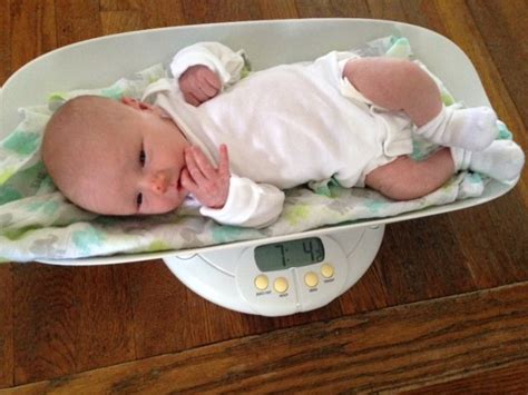 Newborn Weight Loss Calculator and Infant Growth Chart Calculator - Fed Is Best Foundation