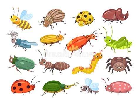 Beetles Larva Stock Illustrations 77 Beetles Larva Stock