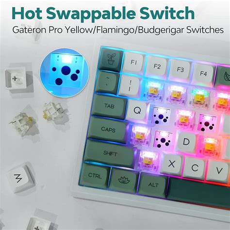 Buy Epomaker Ep Upgraded Rgb Hot Swappable Ghz Bluetooth Usb C Wired Mechanical