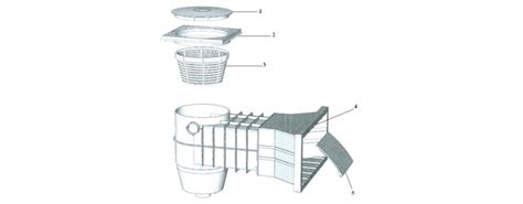 Skimmer Classic A Beton Weltico