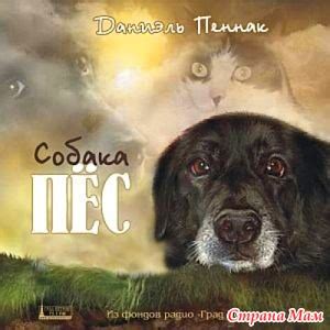 Собака Пес от Д. Пеннак - Книги, которые следует прочитать - Страна Мам