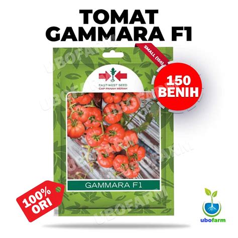 Jual Benih Tomat Gammara F Sp Cap Panah Merah Isi Benih Shopee