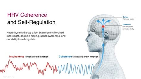 Dr Deborah Rozman Heartmath Group Flow And The Global Coherence Pr