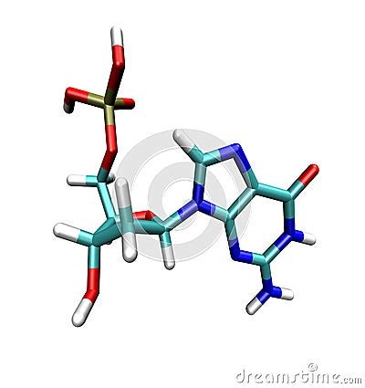 Guanine Stock Photos - Image: 3683053