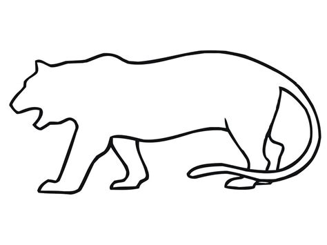 Tiger Outline