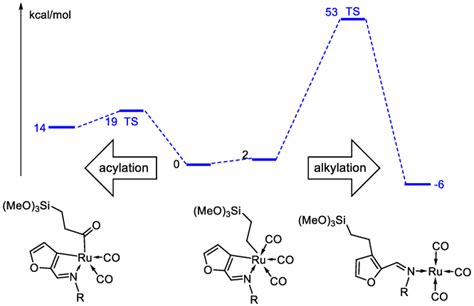 Free Energy Profile Kcal Mol For The Comparison Between Co Insertion