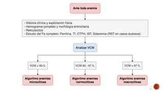 Clasificacion De Anemias Torres Paola Pptx