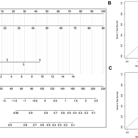 Nomogram Model Construction And Prediction A The Nomogram Model