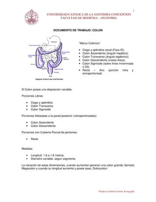 32 Documento Colon PDF Descarga Gratuita