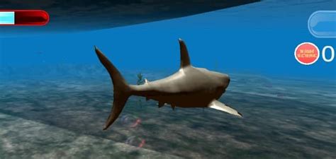 Online game megalodon