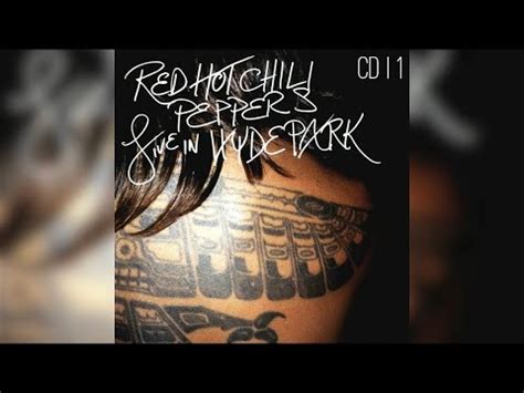 UNIVERSALLY SPEAKING Red Hot Chili Peppers Guitar Backing Track Hyde Park YouTube