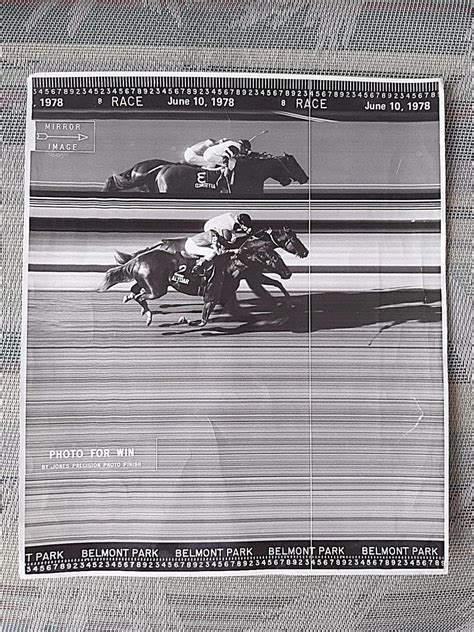 Original Photo Finish Line Horse Racing Affirmed Alydar 1978 Belmont