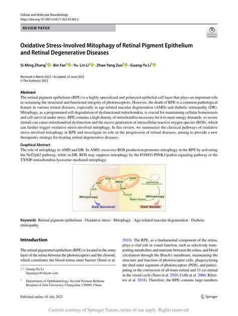 Pdf Oxidative Stress Involved Mitophagy Of Retinal Pigment Epithelium