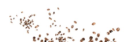 Papperskopp - производство бумажных стаканов и одноразовой посуды в России