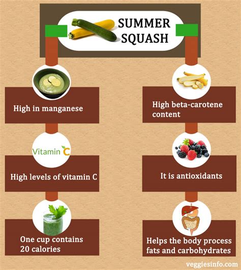 Summer Squash - Veggies Info | Veggies Info