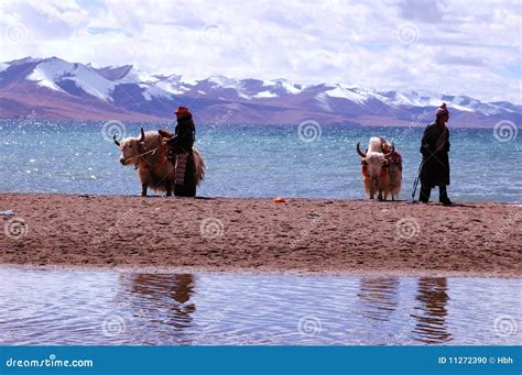 Tibet s snow mountains editorial image. Image of snow - 11272390