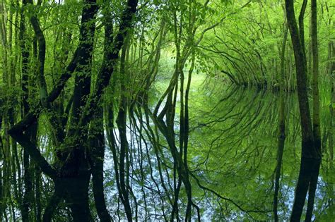 Riserva Della Biosfera Unesco Delta Del Po