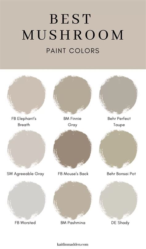 Best Mushroom Paint Colors Kaitlin Madden Home Blogger