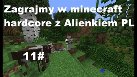 Zagrajmy W Minecraft Hardcore Z Alienkiem Pl 11 Wieża Youtube