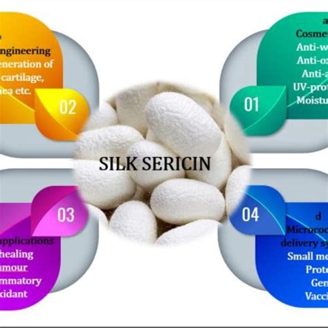 Applicability Of Silk Sericin In A Cosmetology B Tissue Engineering