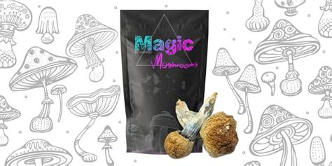 Buy Melmac Mushrooms Magic Mushrooms Online In Calgary Calgary Weed