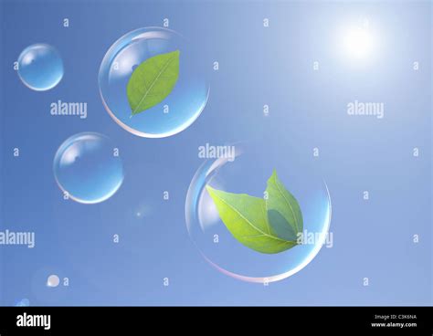 spheres  leaves  stock photo alamy