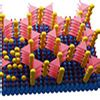 Researchers Realize Orientation Control Of Conductive Mof Nanofilms