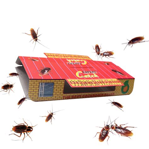 Cockroach Glue Trap Archives - Hangzhou Kunda Technology Co.,Ltd.