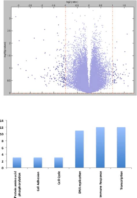 Differentially Expressed Genes . Volcano plot demonstrating ... 