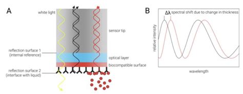 Biolayer Interferometry Bli Services 2bind