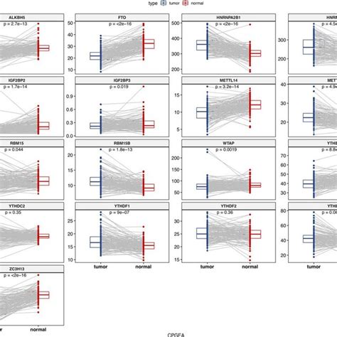 The Mrna Expression Of M6a Methylation Regulators In Paired Normal And