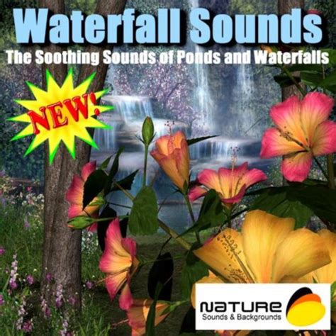 Amazon.com: Waterfall Sounds - The Soothing Sounds Of Ponds And ...