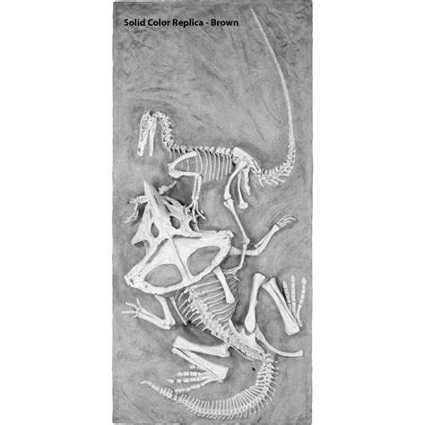 Velociraptor vs. Protoceratops – ‘Fighting Dinosaurs’ – Black Hills Institute