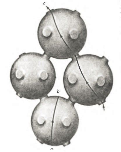 indicating      surprisingly  types  orbits