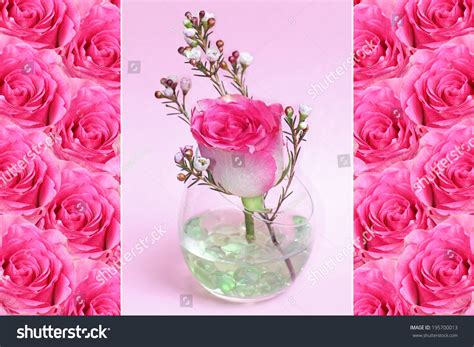 Triple Pink Fresh Roses Glass Bowl Stock Photo 195700013 Shutterstock