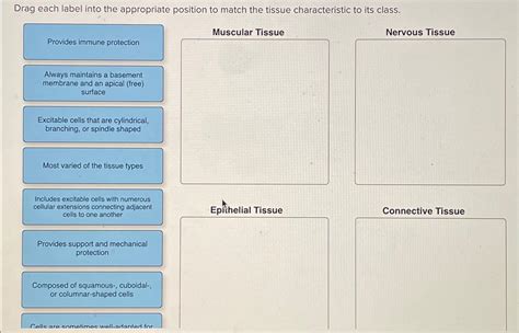 Solved Drag Each Label Into The Appropriate Position To Chegg