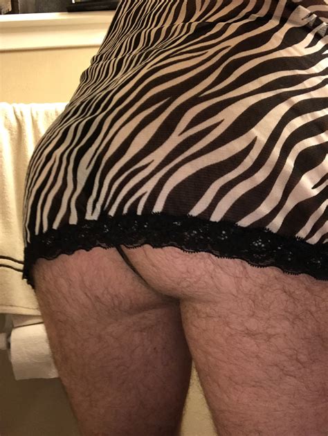 Zebra Lingerie Photo Ashemaletube