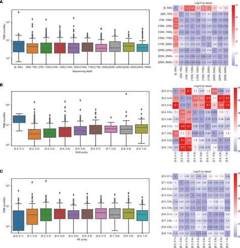 Frontiers Systematic Assessment And Optimizing Algorithm Of Tumor Mutational Burden