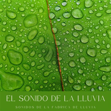 El Sonido De La Lluvia Sonidos De La Fabrica De Lluvia Album By