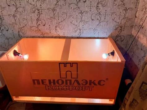 Брудер для цыплят из пеноплекса - 8 различных вариантов