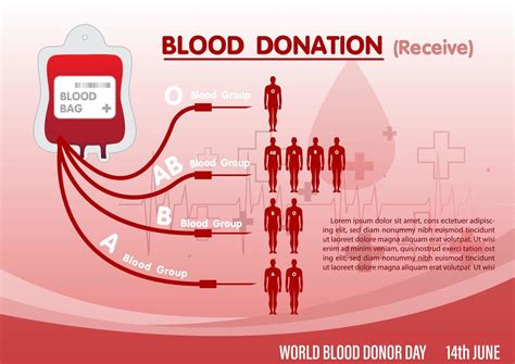 Infographic Of Blood Donation With Receiving To Human In Various Blood